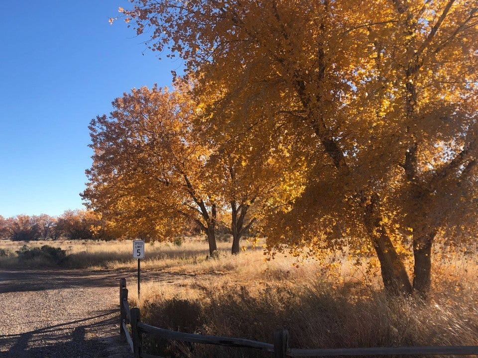 Lessons from the Field: Rural & Indigenous Leadership for Opportunity Youth