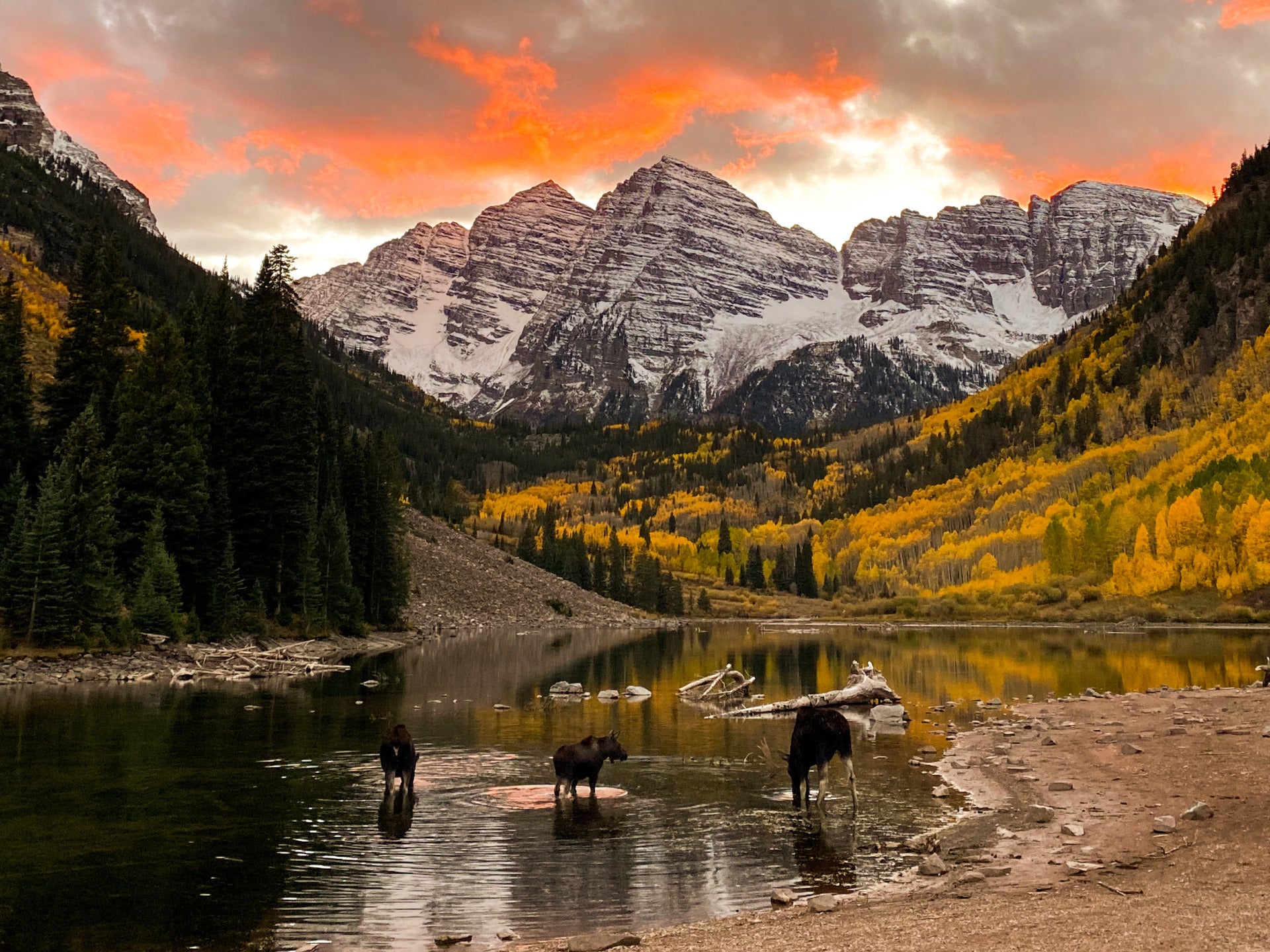 Aspen Literary Festival