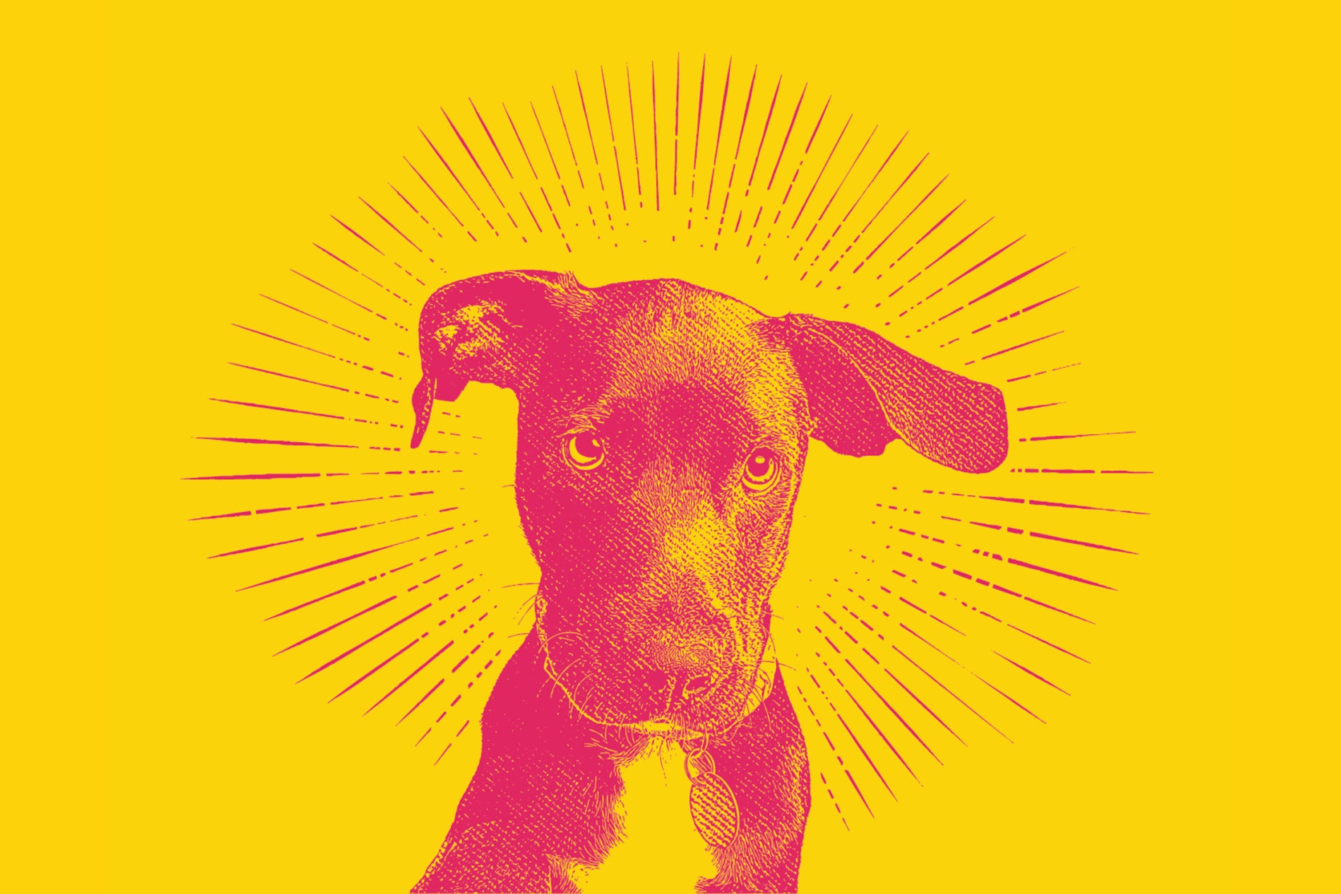 A color-washed photo of a puppy. It represents the first AI elections and the 