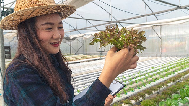Woman holding hydroponic plant