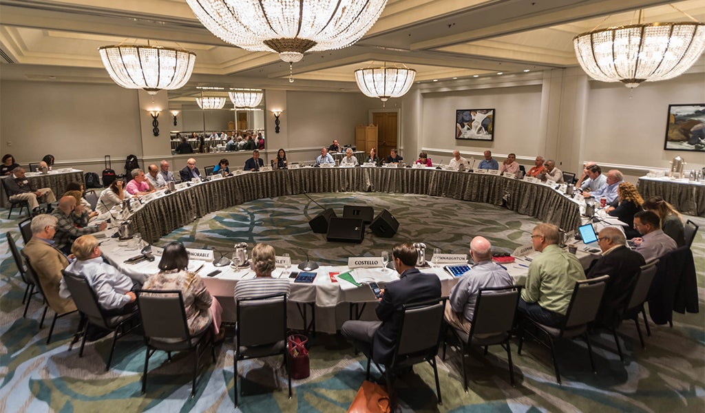 <b>Member Conferences </b>