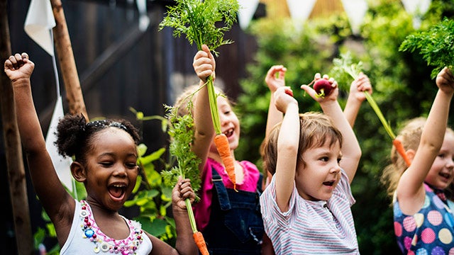 Kids in a vegetable garden