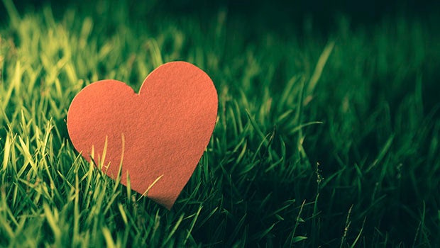Gifts for the Planet on Valentine’s Day
