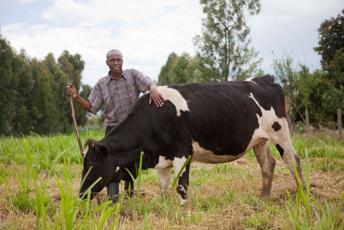 On Food Security, Who Leads?