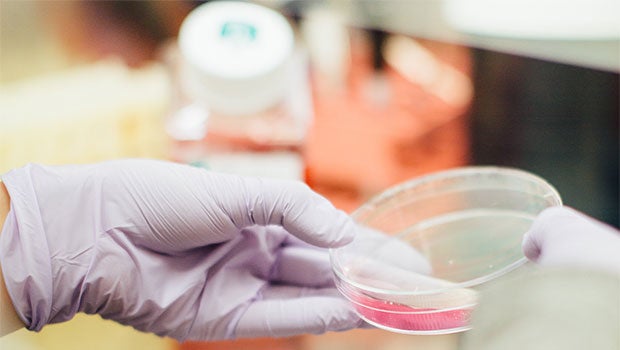 Science and Civic Partnerships